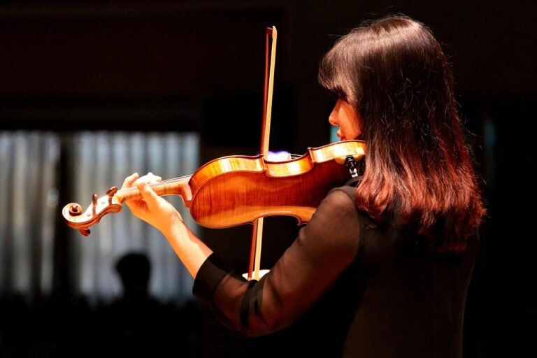 woman, violin, music, playing music, performer, violinist, female, musician, performance, concert, show, violin, violin, violinist, violinist, violinist, violinist, violinist